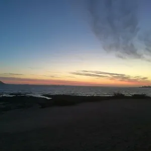 https://hormigas.hotelsfuerteventura.org